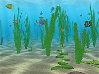 Water Life 3D screensaver screenshot. Click to enlarge