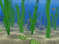 Water Life 3D screensaver screenshot. Click to enlarge