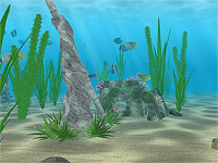 Water Life 3D screensaver screenshot. Click to enlarge